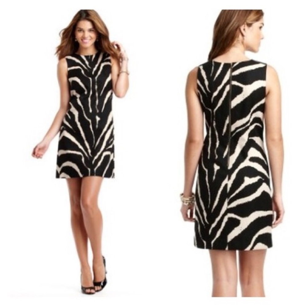 LOFT by Ann Taylor Mod Zebra Textured
Shift Dress size 6P